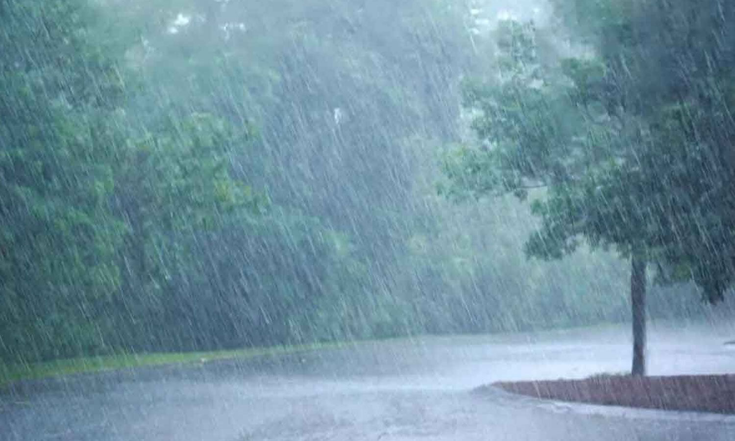Heavy Rain Alert Issued Across Andhra Pradesh, Telangana