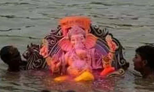 MMC launches digital drive for hassle-free Ganesh immersion
