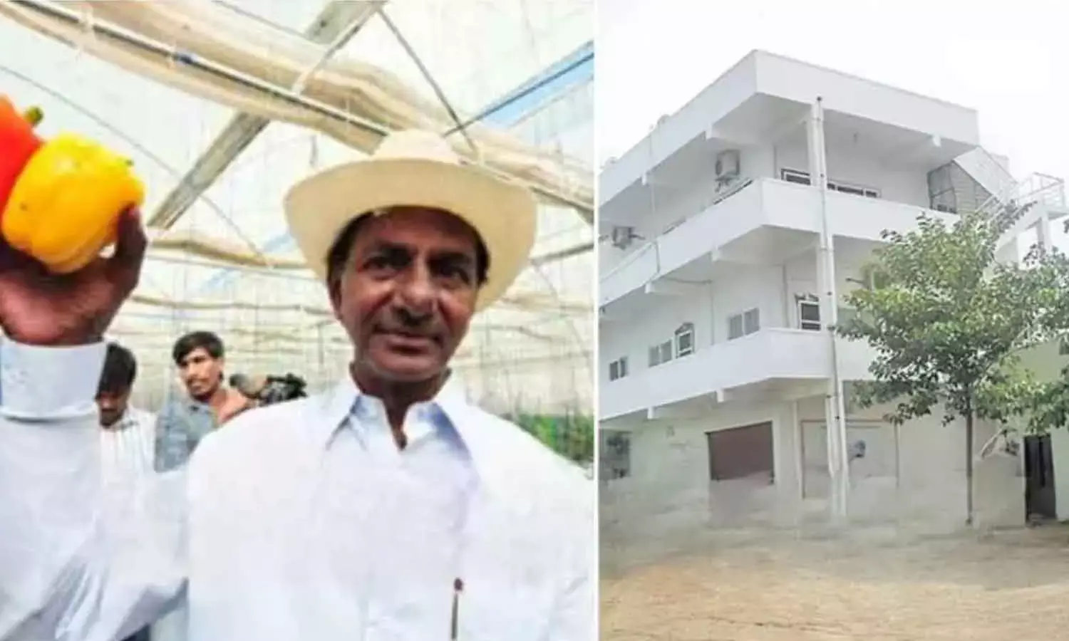 Revenue officials begin probing govt lands at KCR’s farmhouse Revenue officials begin probing govt lands at KCR’s farmhouse