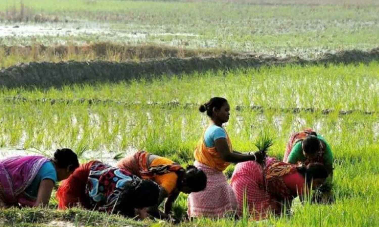 Best Agrolife Holds Farmer Field Day in Adilabad