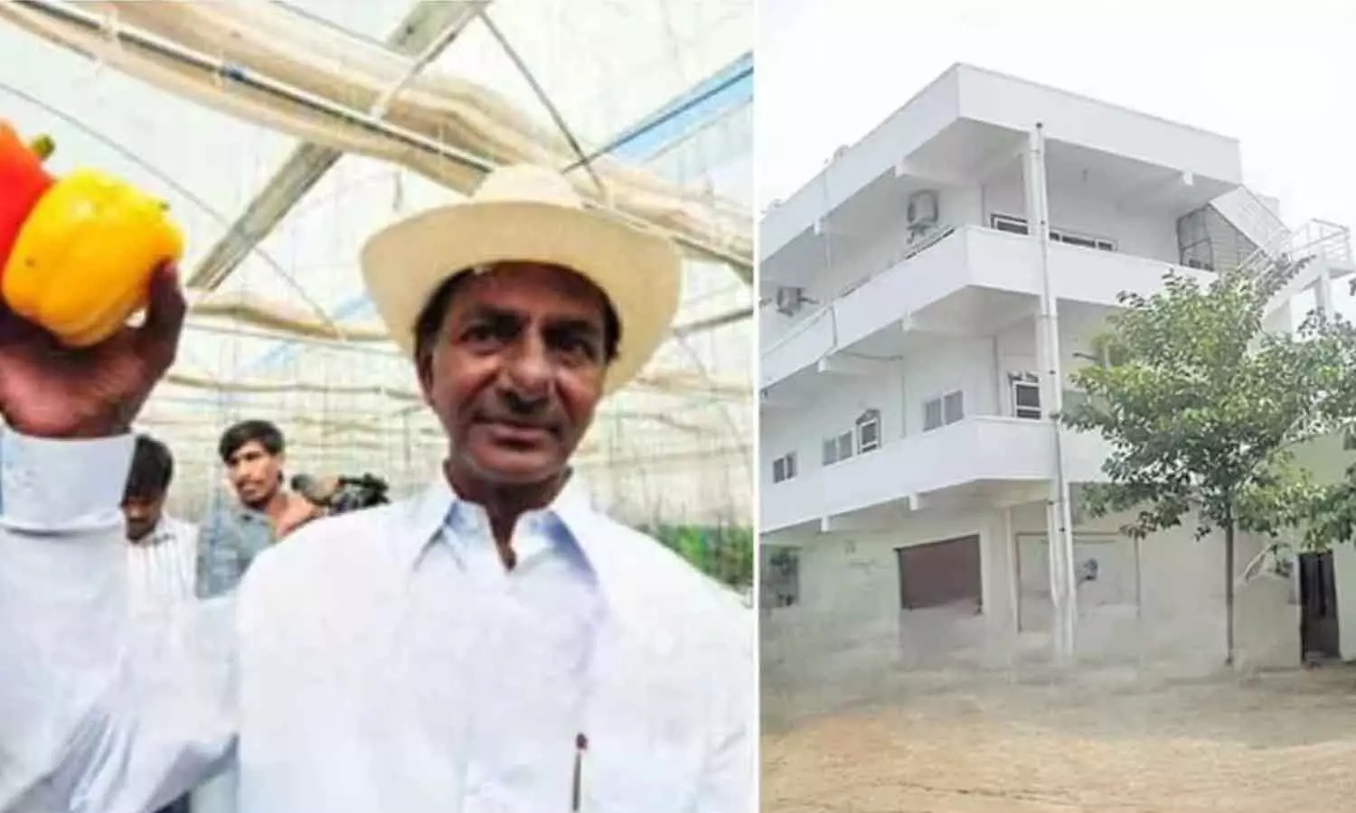 Revenue officials begin probing govt lands at KCR’s farmhouse Revenue officials begin probing govt lands at KCR’s farmhouse
