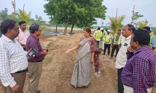 Amaravati Development Corporation chairperson Lakshmi Parthasarathi inspects the newly-developed N-10 nursery in Amaravati on Thursday