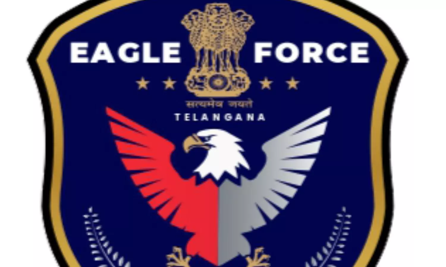 Elite Action Group for Drug Law Enforcement (EAGLE) Task Force Elite Action Group for Drug Law Enforcement (EAGLE) Task Force