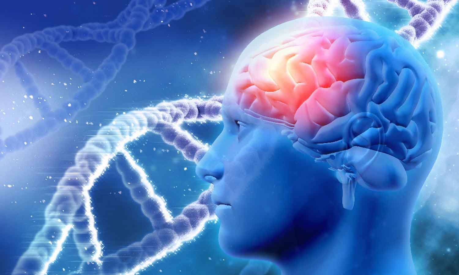 Two Brothers Successfully Treated for Rare Brain Conditions