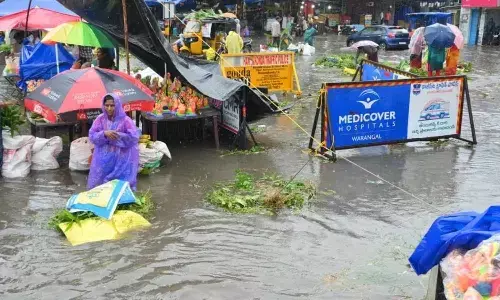 Rain casts shadow over Ganesh immersion