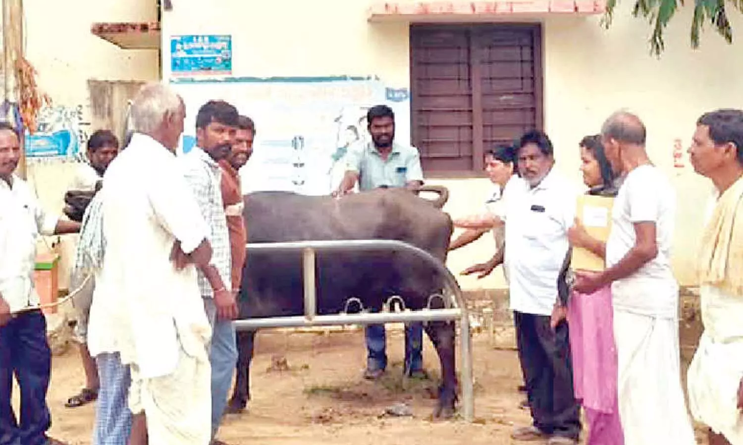 Farmers educated on cattle health and disease prevention Farmers educated on cattle health and disease prevention