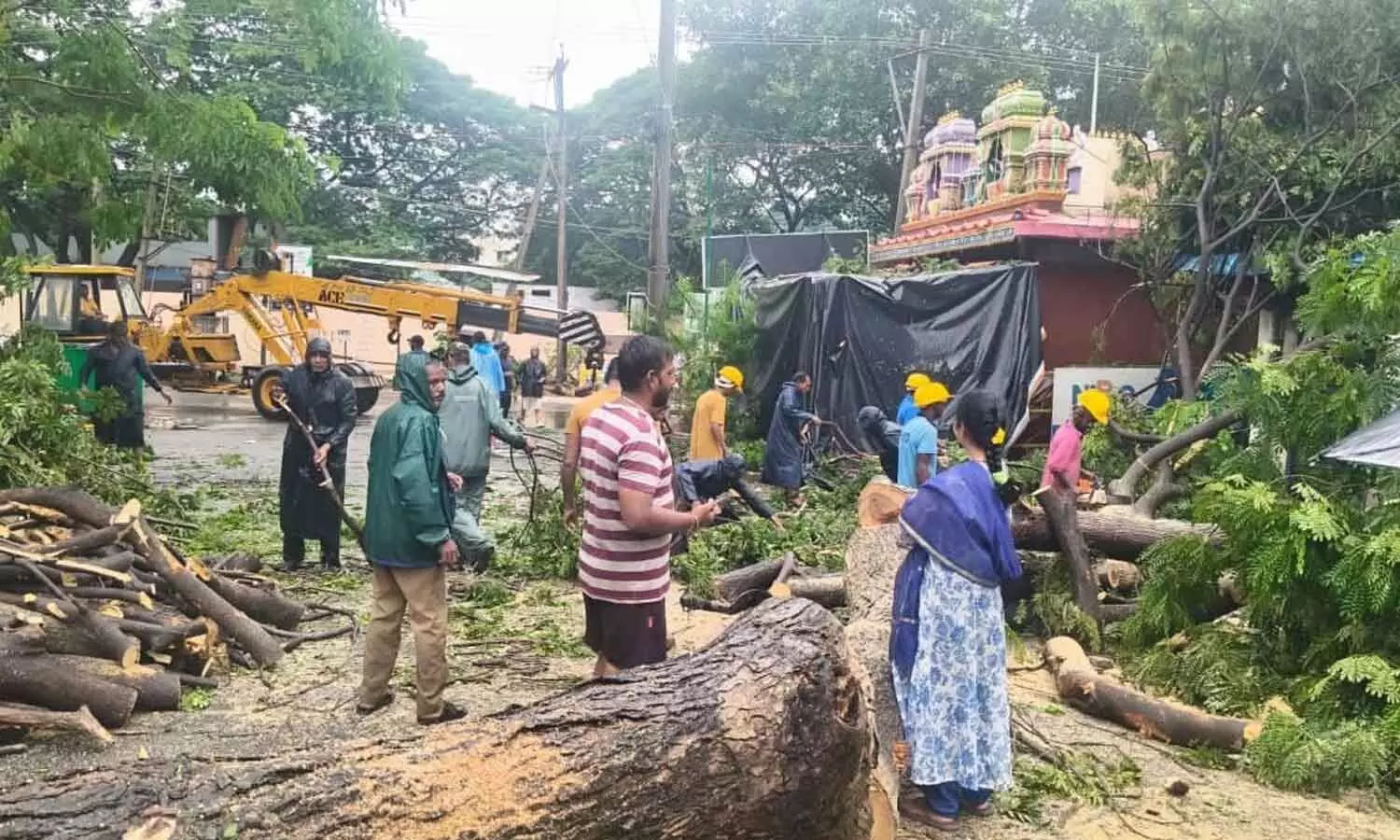 Following the continuous downpour, workers cleared fallen trees in Visakhapatnam on Thursday Following the continuous downpour, workers cleared fallen trees in Visakhapatnam on Thursday