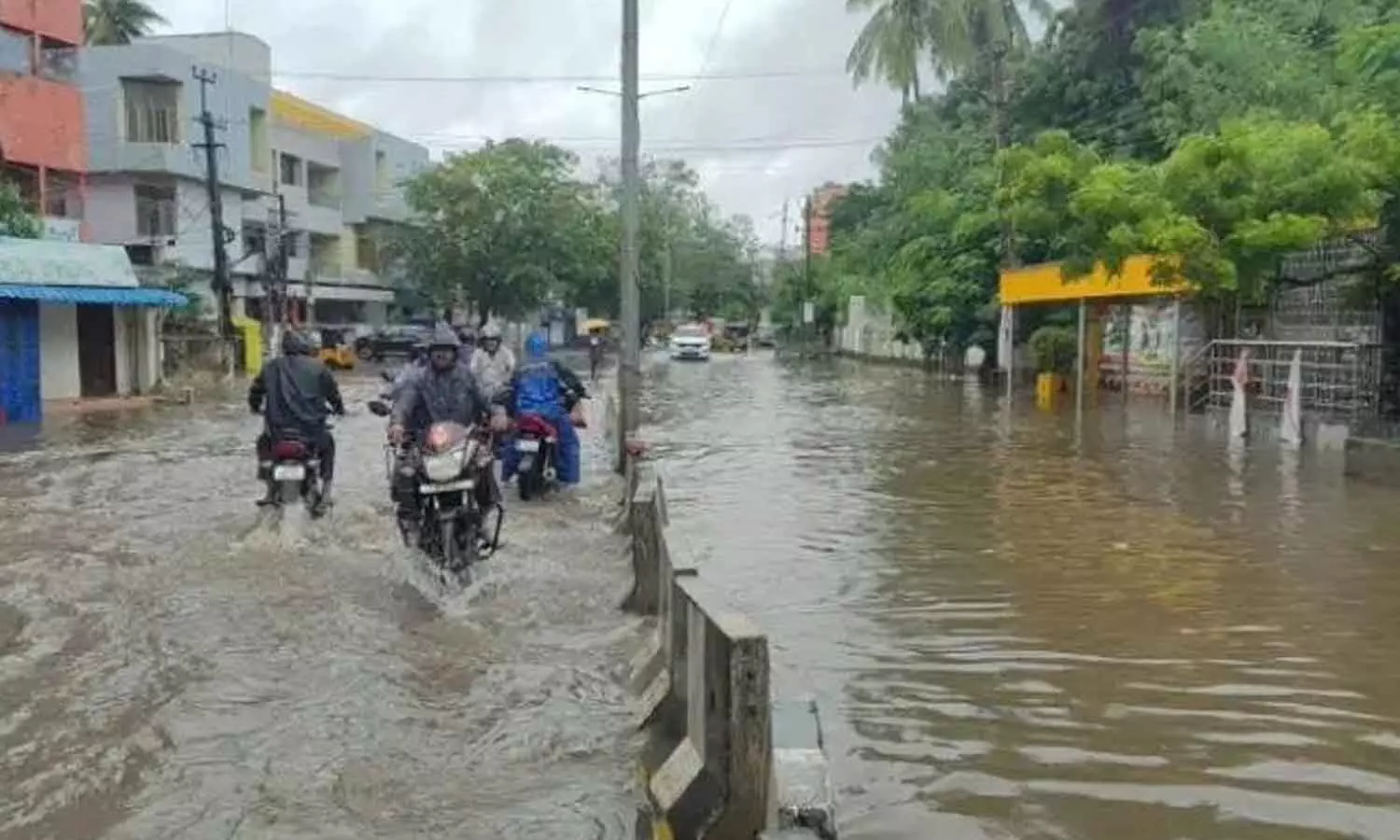 Rain wreaks havoc in AP Rain wreaks havoc in AP
