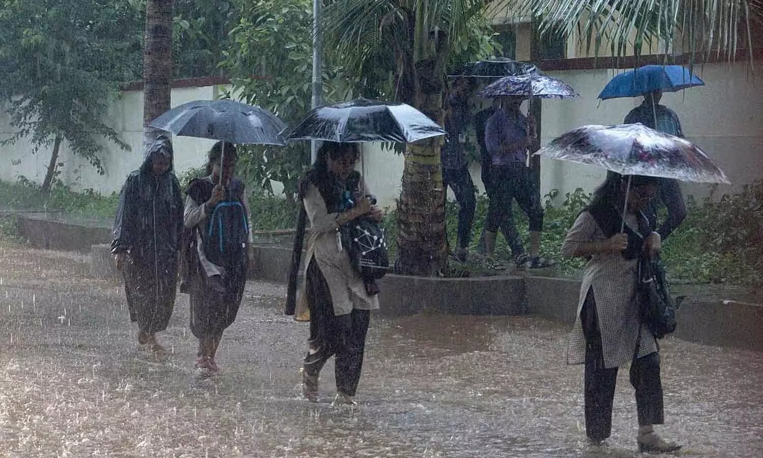 8,000 people evacuated as heavy rain batters Odisha 8,000 people evacuated as heavy rain batters Odisha