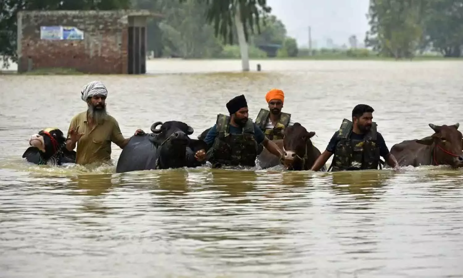37 lakh people affected by floods: Pujari 37 lakh people affected by floods: Pujari