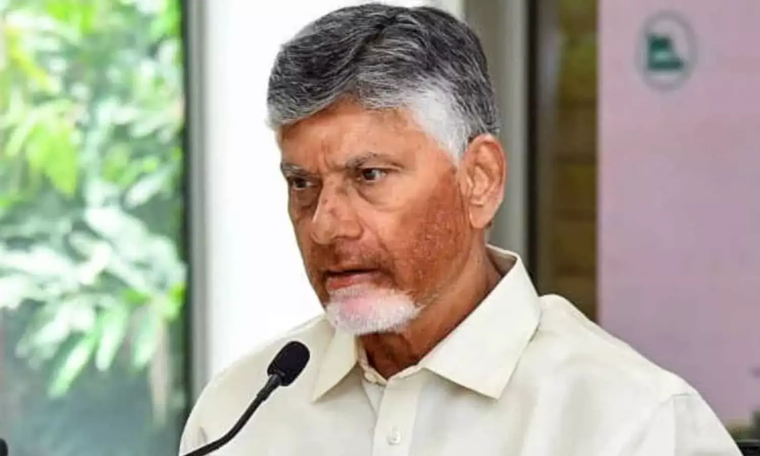 Chief Minister N Chandrababu Naidu
