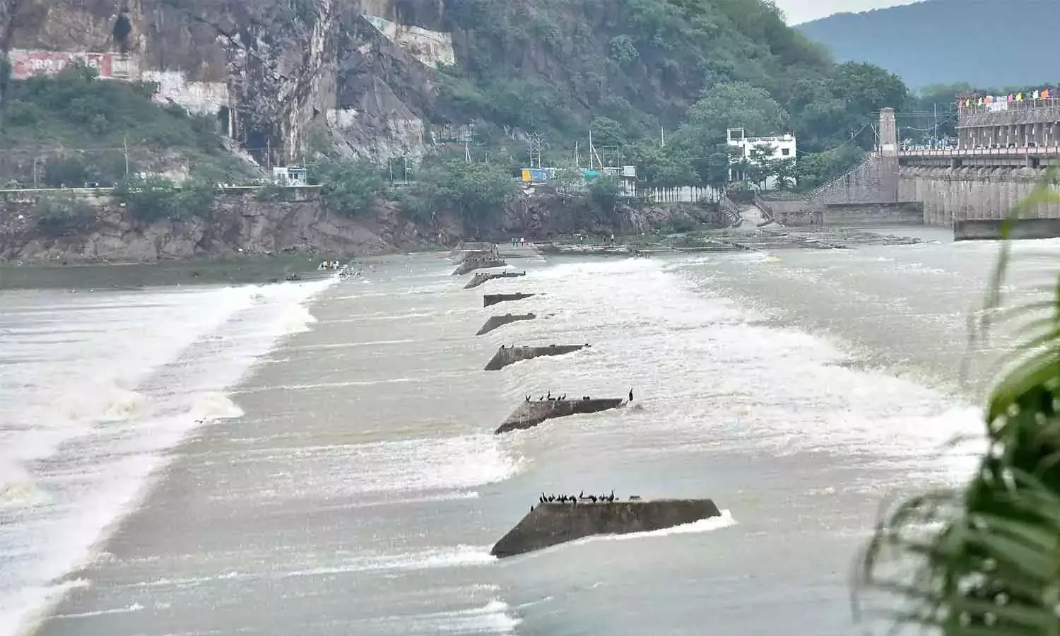 AP moves to capture flood  surge as reservoirs gain 21 TMC
