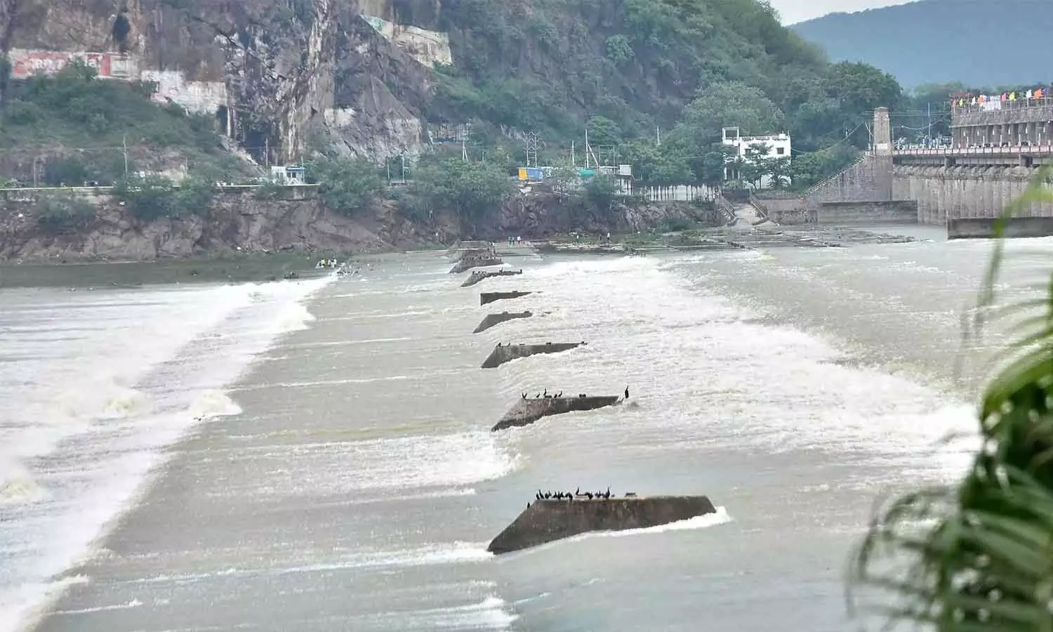 AP moves to capture flood surge as reservoirs gain 21 TMC AP moves to capture flood surge as reservoirs gain 21 TMC