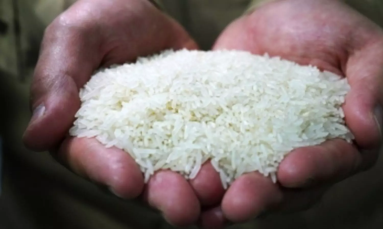 Households across Tamil Nadu are paying more for several popular rice varieties Households across Tamil Nadu are paying more for several popular rice varieties