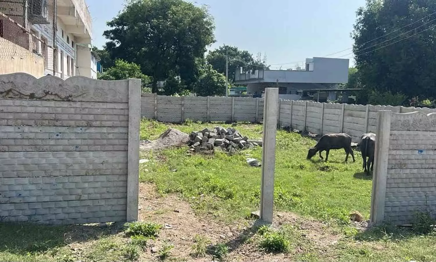 Singareni Collieries land encroachment allegations raise questions in Peddapalli Singareni Collieries land encroachment allegations raise questions in Peddapalli