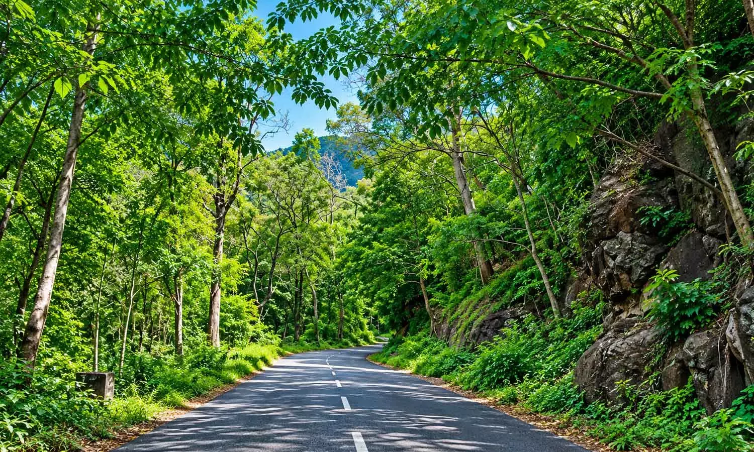 Ecosystems and livelihoods: A pathway to good forest governance