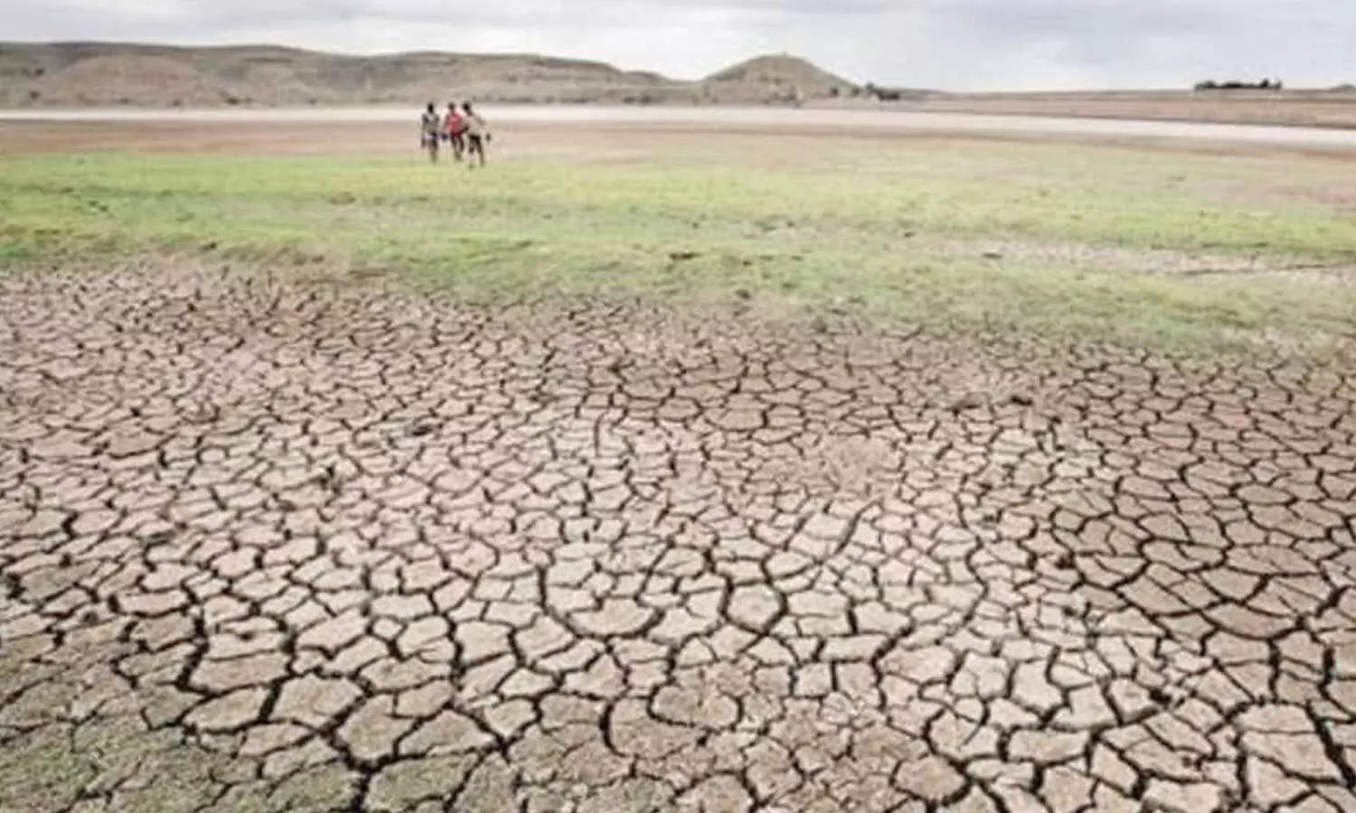 Central team to assess Karnataka drought, crop losses from Oct 3 Central team to assess Karnataka drought, crop losses from Oct 3