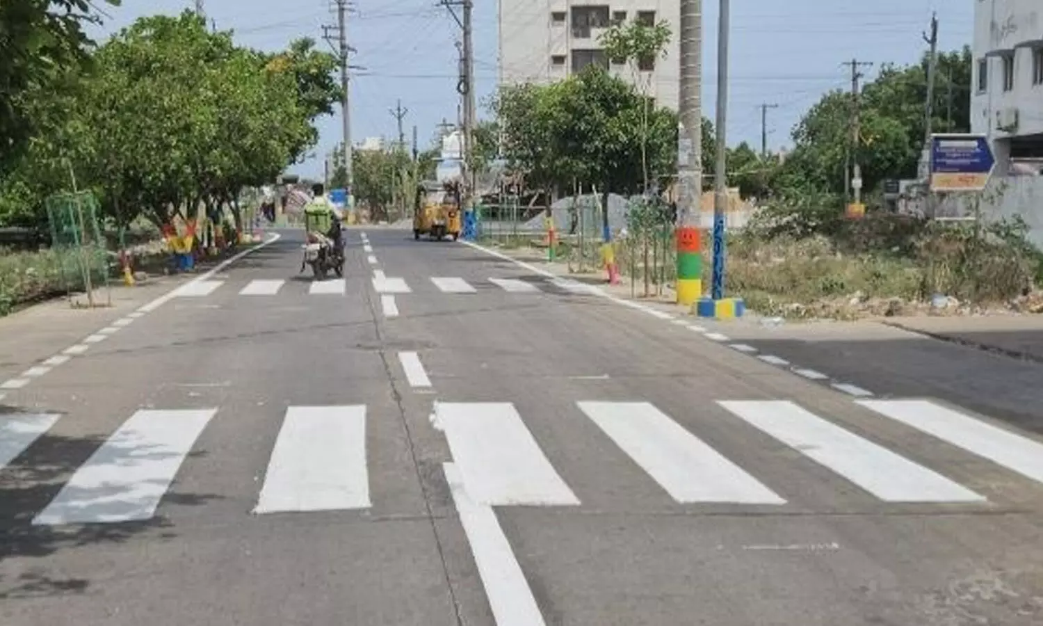 Zebra lines, and trees and electrical poles painted in Balaji Nagar of 14th division in Nellore city Zebra lines, and trees and electrical poles painted in Balaji Nagar of 14th division in Nellore city