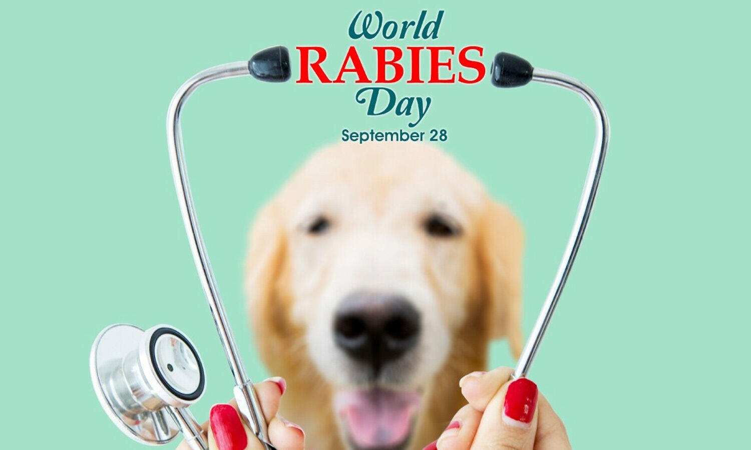 World Rabies Day Highlights Rabies Risks, Prevention And Treatment