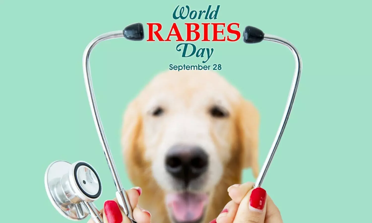 World Rabies Day: Know About This Disease World Rabies Day: Know About This Disease