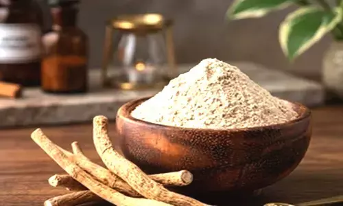 Large clinical trial finds 24 weeks of Ashwagandha well tolerated without liver or kidney injury