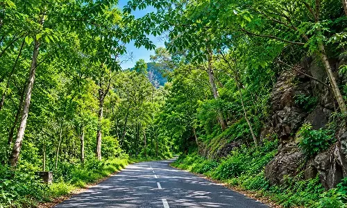 Ecosystems and livelihoods: A pathway to good forest governance