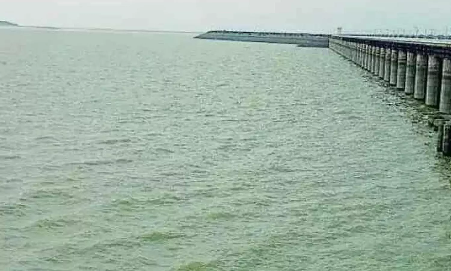 SRSP storage rises to 46.65 TMC as water inflows continue SRSP storage rises to 46.65 TMC as water inflows continue