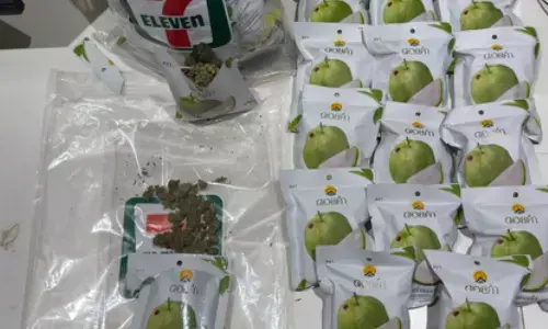 Ahmedabad Customs on Tuesday seized 973.23 grams of hydroponic marijuana Ahmedabad Customs on Tuesday seized 973.23 grams of hydroponic marijuana