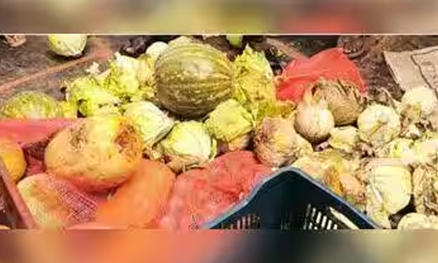 Food Safety Raid Finds Expired Items at Hyderabad Warehouse