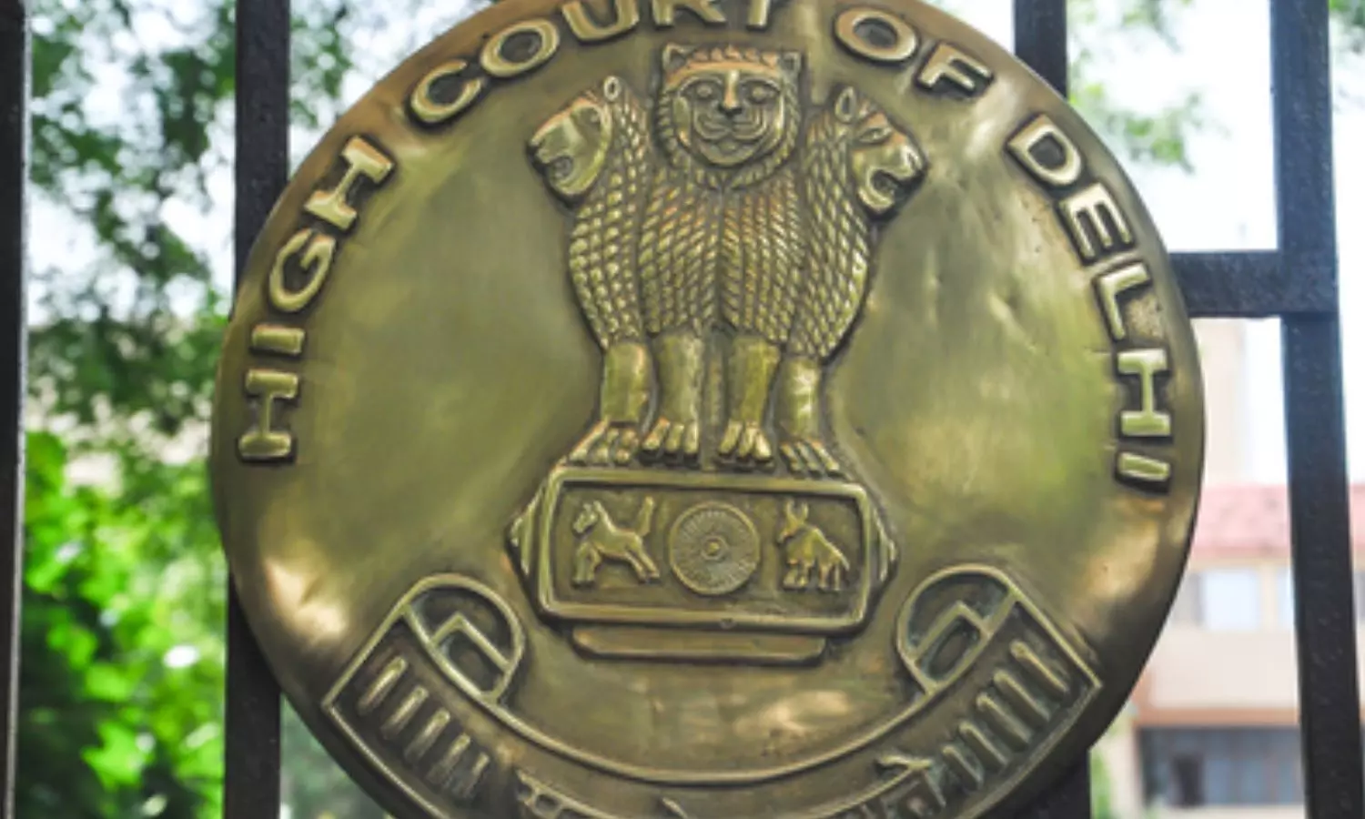 Delhi High Court has refused to suspend the conviction of Bihar BJP MLA Raju Kumar Singh Delhi High Court has refused to suspend the conviction of Bihar BJP MLA Raju Kumar Singh