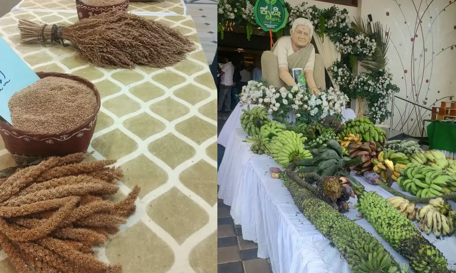 Krishi Melas are usually associated with the countryside