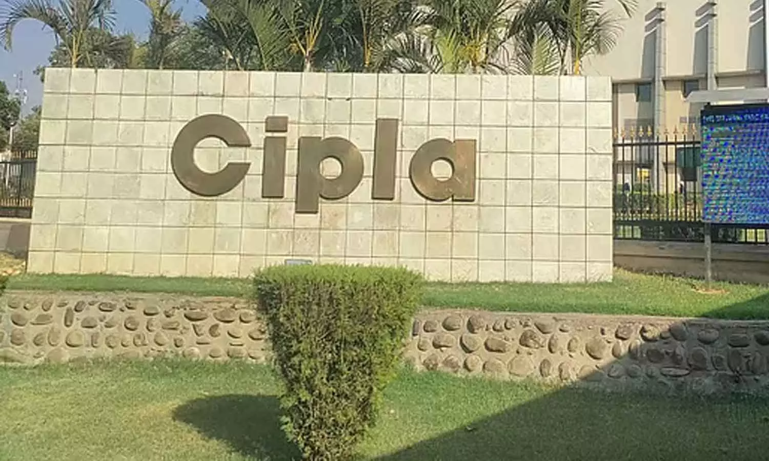FDA cancels drug sale licence of Cipla in Pune FDA cancels drug sale licence of Cipla in Pune