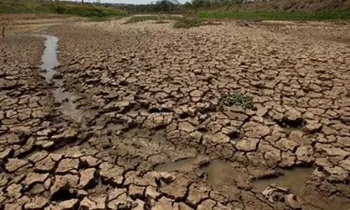 30 mandals declared drought-hit