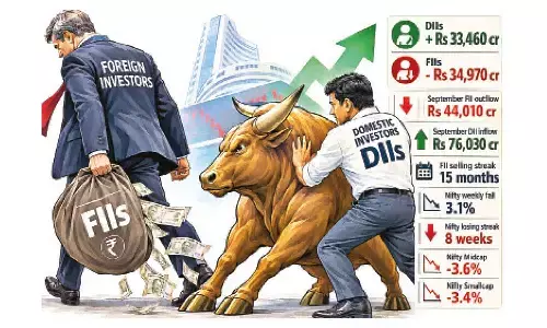 Domestic investors  absorb FII selling pressure