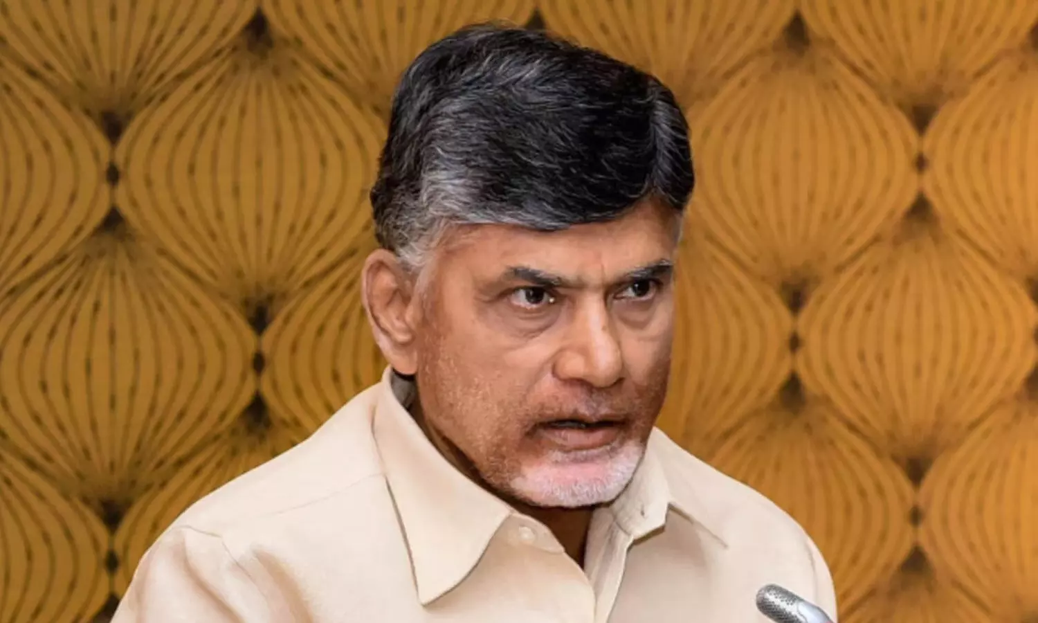 Chief Minister N Chandrababu Naidu Chief Minister N Chandrababu Naidu