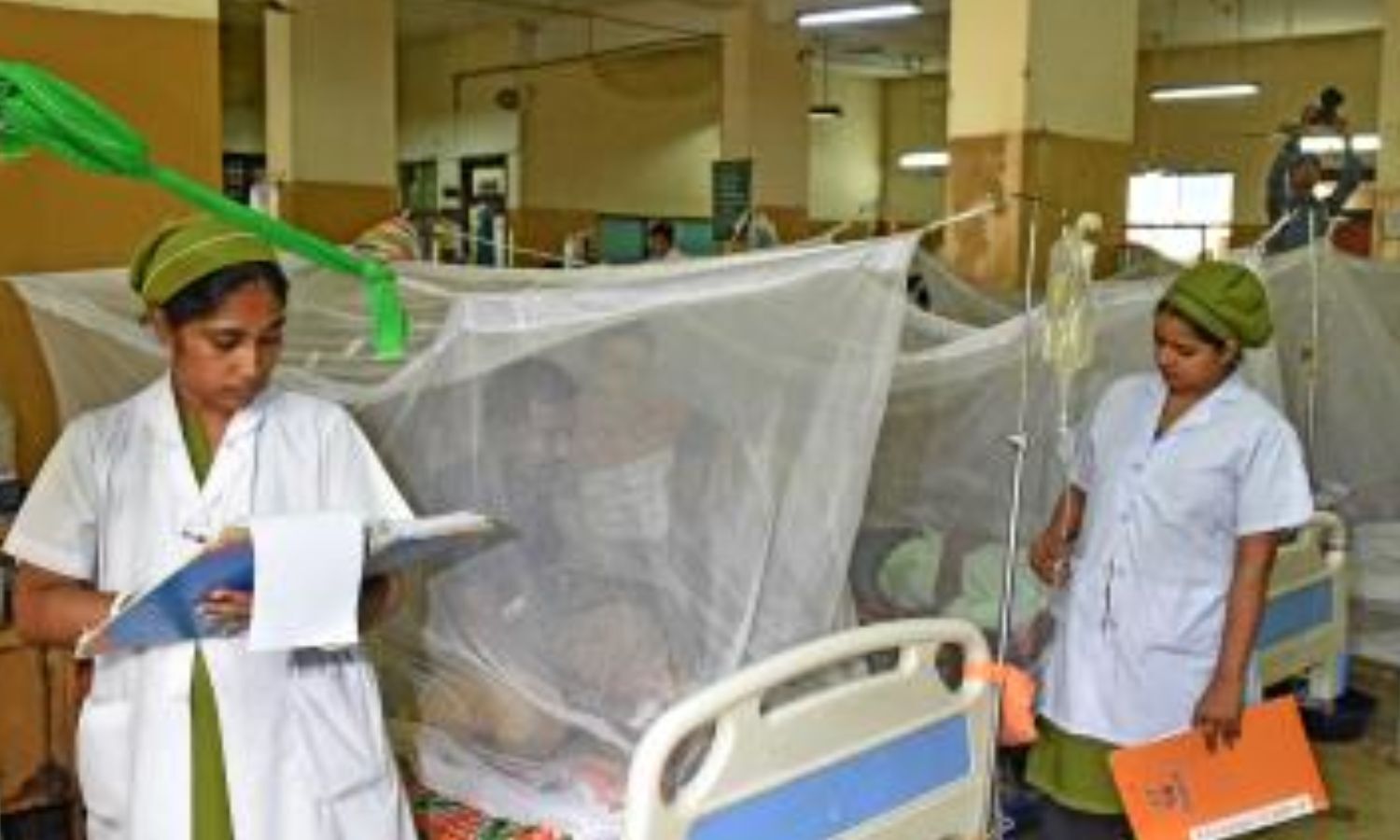 Dengue and Measles Outbreaks Strain Bangladesh’s Healthcare System