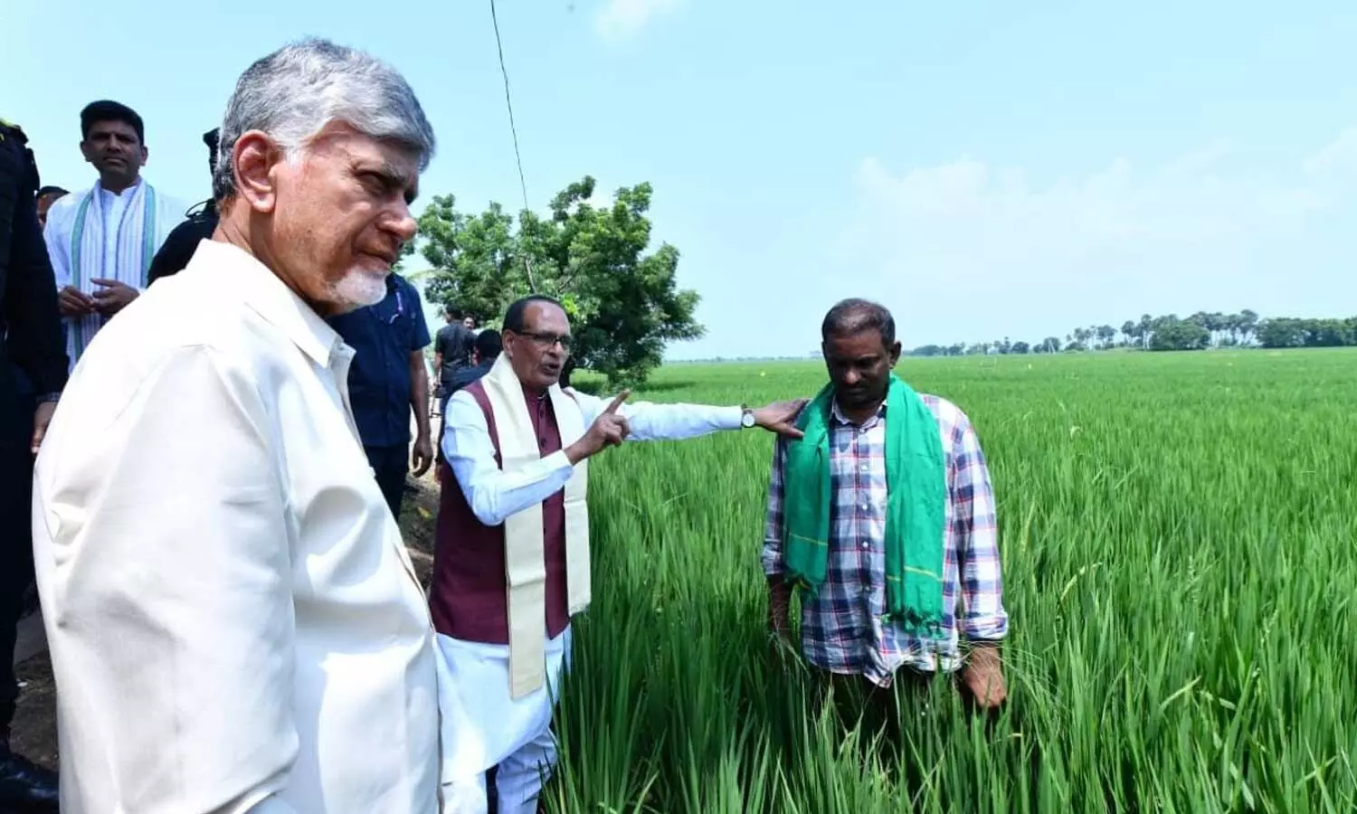 Union Minister Shivraj Singh Chouhan and Chief Minister N Chandrababu Naidu visiting natural farming fields at Burripalem on Sunday Union Minister Shivraj Singh Chouhan and Chief Minister N Chandrababu Naidu visiting natural farming fields at Burripalem on Sunday