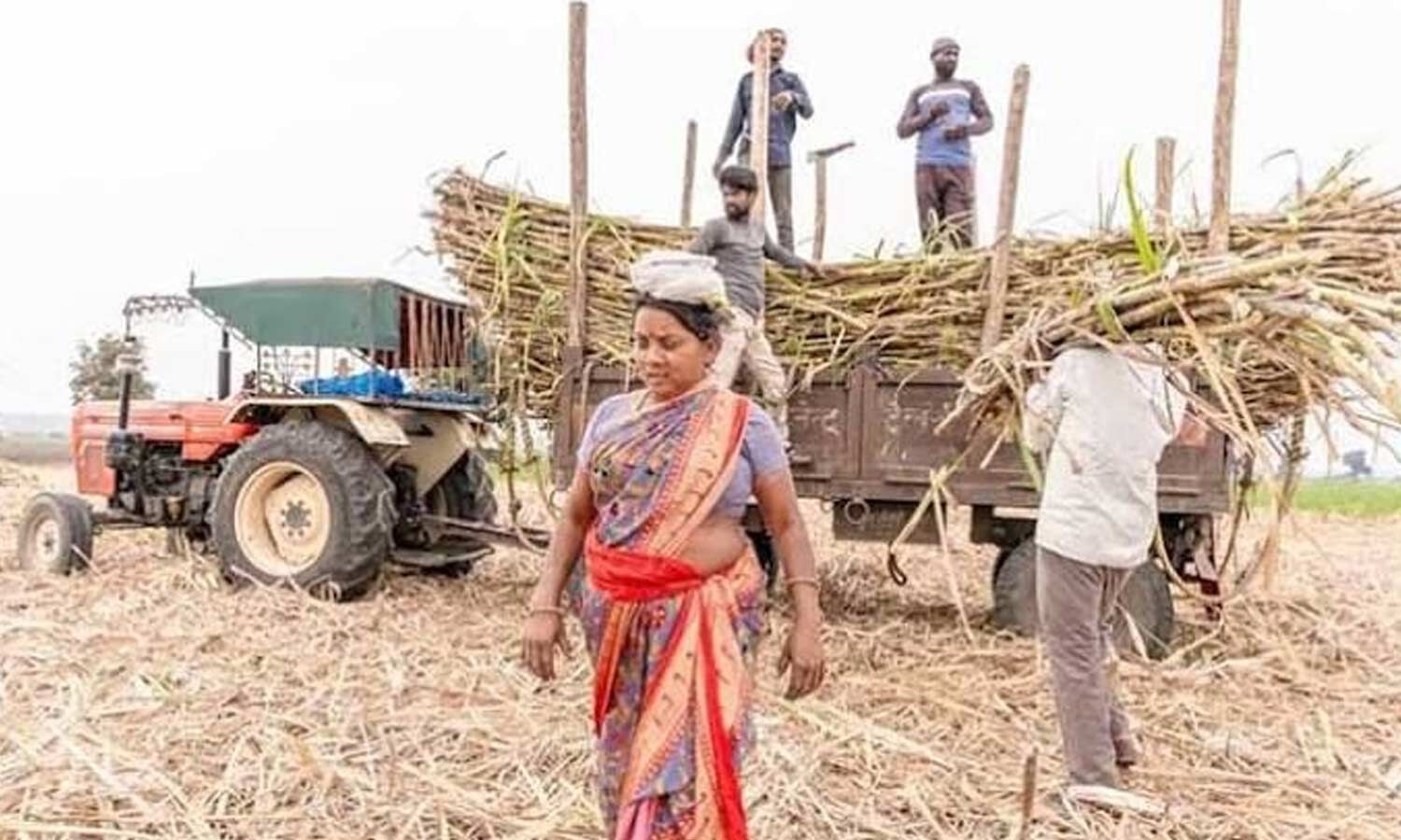 Farmers Raise Sugarcane Dues, MSP and Input Costs at Congress Rally