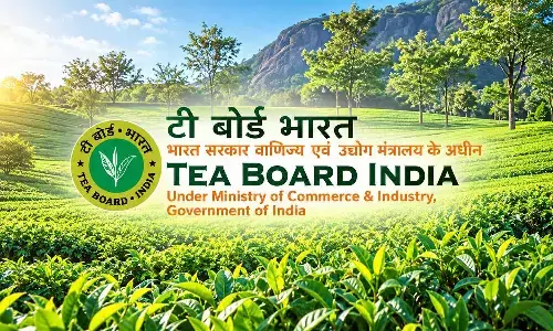 Tea Board drives India’s tea industry towards higher value, global reach Tea Board drives India’s tea industry towards higher value, global reach