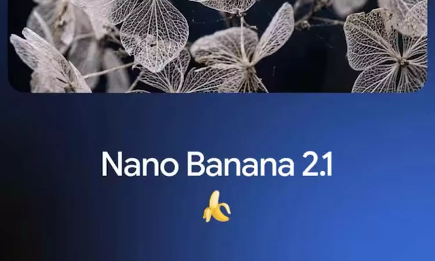 Google Launches Nano Banana 2.1, New Image Model at Nearly Half the Cost Google Launches Nano Banana 2.1, New Image Model at Nearly Half the Cost