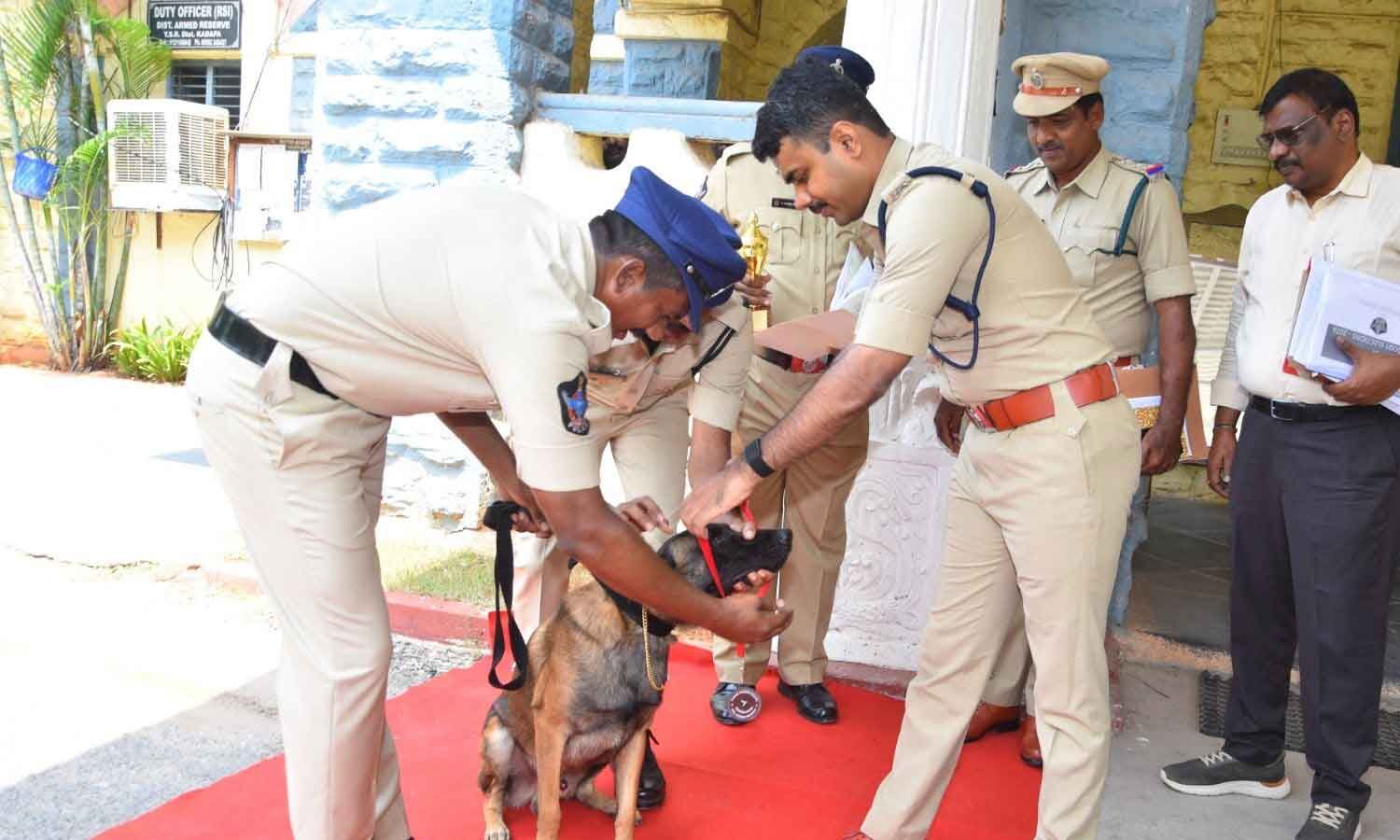 Kadapa Police Induct Trained Sniffer Dog Johnny Into Squad