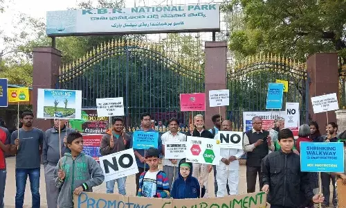 KBR Park: A thoughtless, ruthless and axe-first government calling the shots KBR Park: A thoughtless, ruthless and axe-first government calling the shots