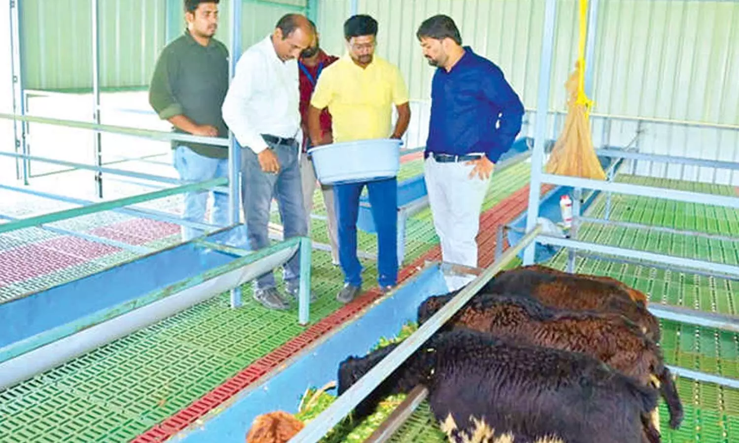 Collector inspects sheep rearing unit, petrol pump Collector inspects sheep rearing unit, petrol pump