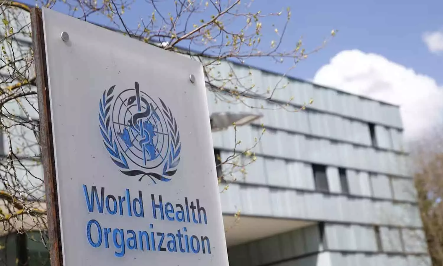 China nominates health official to lead WHO China nominates health official to lead WHO