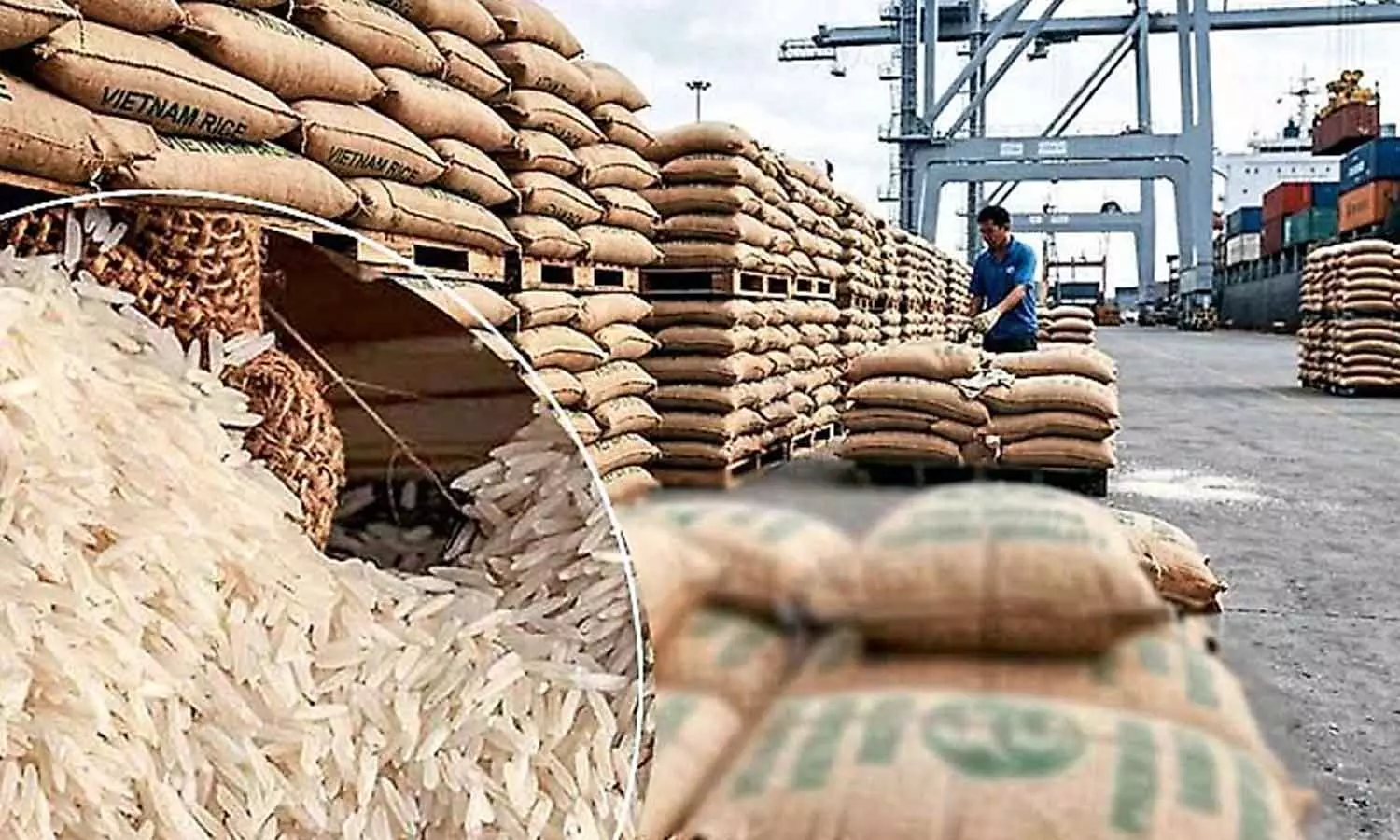 Govt seizes 5.65 lakh kg of PDS rice worth Rs 1.34 cr in state-wide crackdown Govt seizes 5.65 lakh kg of PDS rice worth Rs 1.34 cr in state-wide crackdown