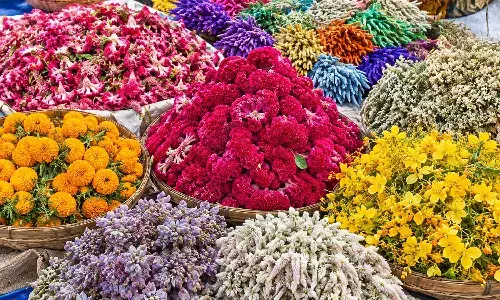 Nalgonda Prepares Natural Flowers for Telangana’s Bathukamma Festival