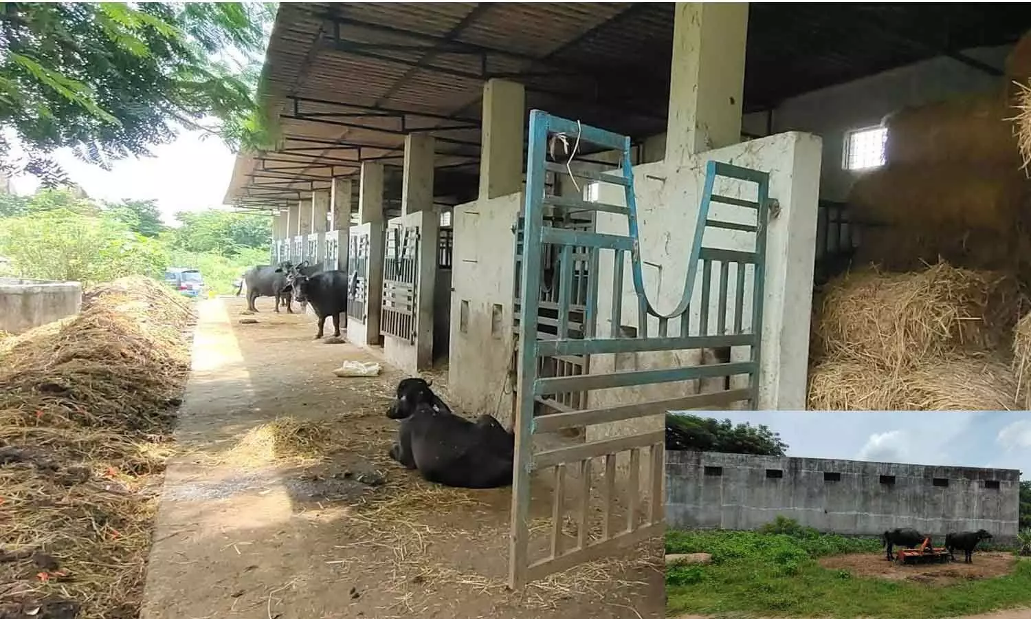 Warangal Fort mounted police buildings face alleged encroachment Warangal Fort mounted police buildings face alleged encroachment