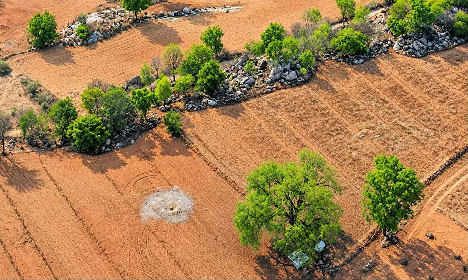 Land Reforms: 16 lakh acres cleared from prohibited list Land Reforms: 16 lakh acres cleared from prohibited list