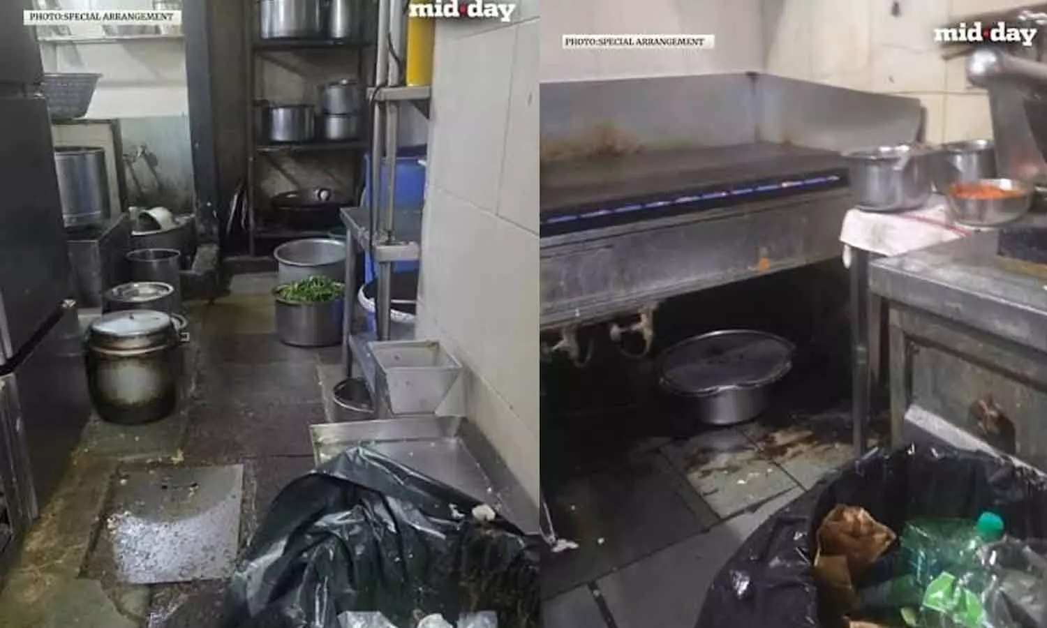 Hotels, food joints infested with rats, cockroaches put on TG SAFE radar Hotels, food joints infested with rats, cockroaches put on TG SAFE radar
