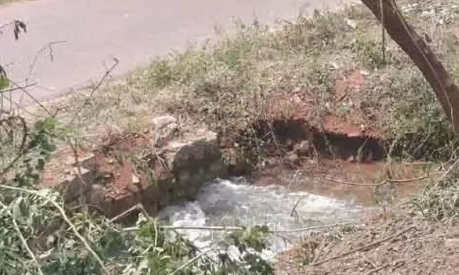 Water leakage at NSP canal sluice raises concern among farmers Water leakage at NSP canal sluice raises concern among farmers